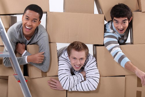Professional man and van service handling boxes and household items
