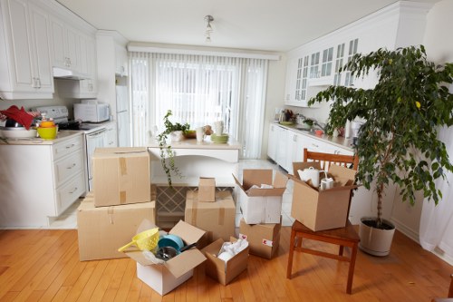 Safe and insured man with van service handling furniture carefully